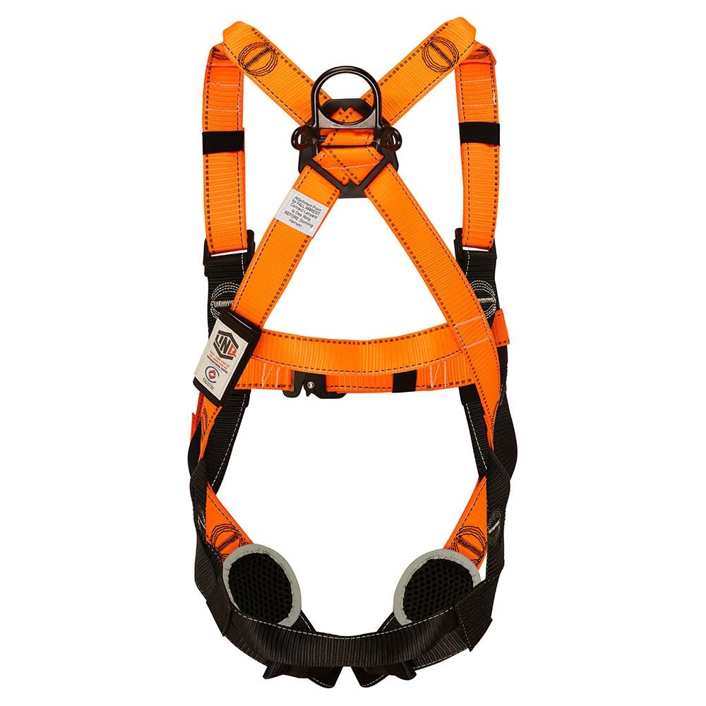 Essential Safety Harness - Back View Essential Safety Harness - Back View